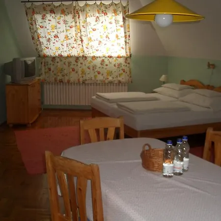 Apartments-mini-hotel * Csongrád