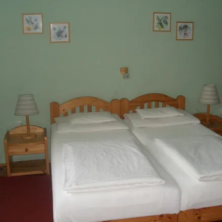 Apartment Apartments-mini-hotel