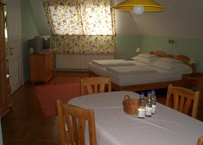 Apartments-mini-hotel * Csongrád